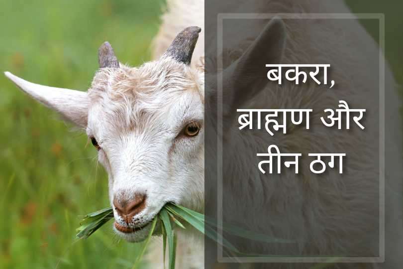 बकरा, ब्राह्मण और तीन ठग